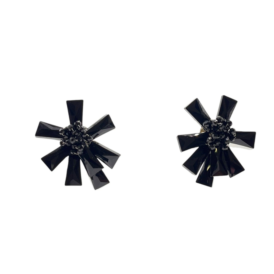 Orecchini Flora Nero Argento